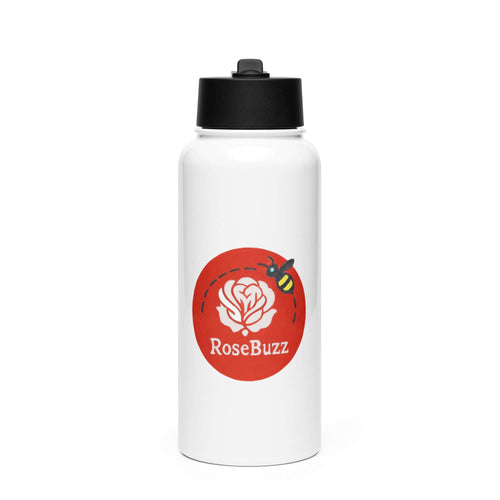 Stainless steel water bottle with a straw lid